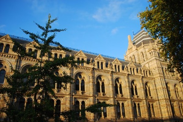 London - Natural History Museum